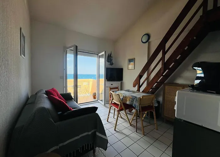 à Avec Terrasse Et Parking, Accès Direct à La - Fr-1-309-541 Appartement Collioure